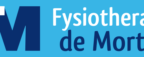 Logo-Fysiotherapie-deMortel-kleur